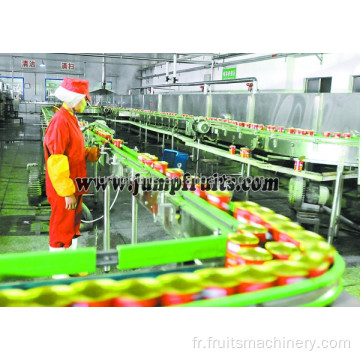 Ligne de transformation des fruits congelés aux légumes